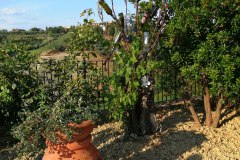 IMG_20190718_185024