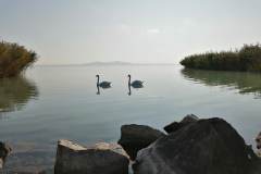 IMG_20191101_123300