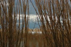 IMG_20200227_141903