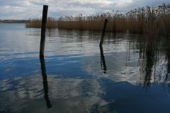 IMG_20200227_142320