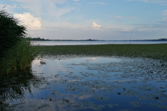IMG_20200725_184915