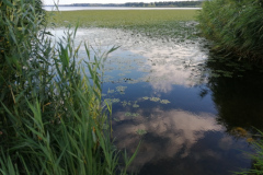 IMG_20200725_185004