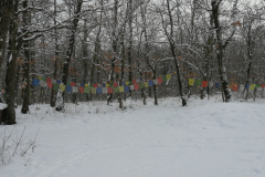 IMG_20210117_113827