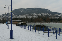 IMG_20210117_151716