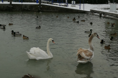 IMG_20210117_152039