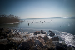 IMG_20210213_131040