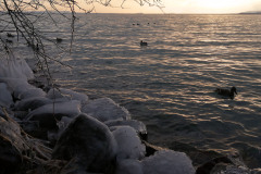 IMG_20210213_160249