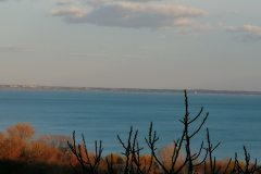 IMG_20210315_171646