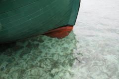 P6252074