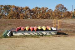 PA290118